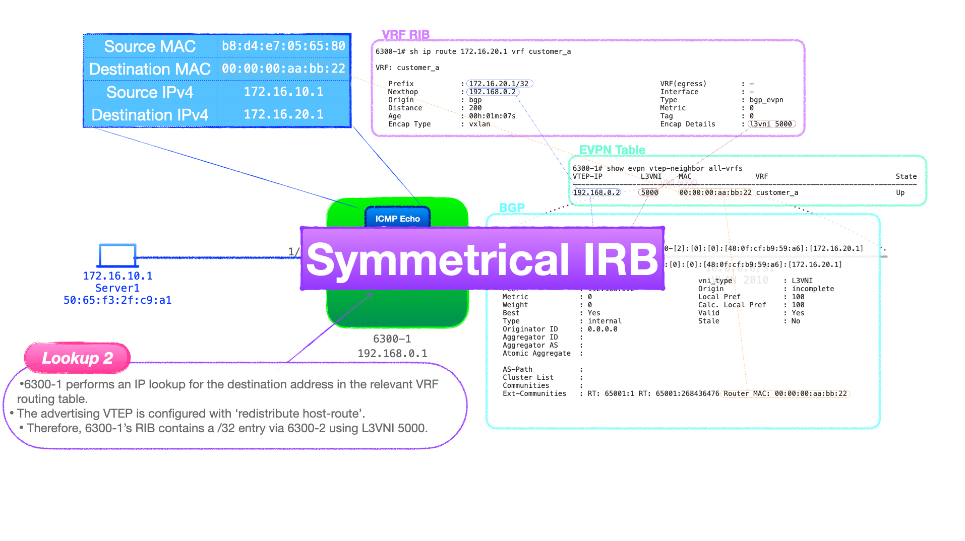 EVPN-VXLAN Explainer 6 - Symmetrical IRB